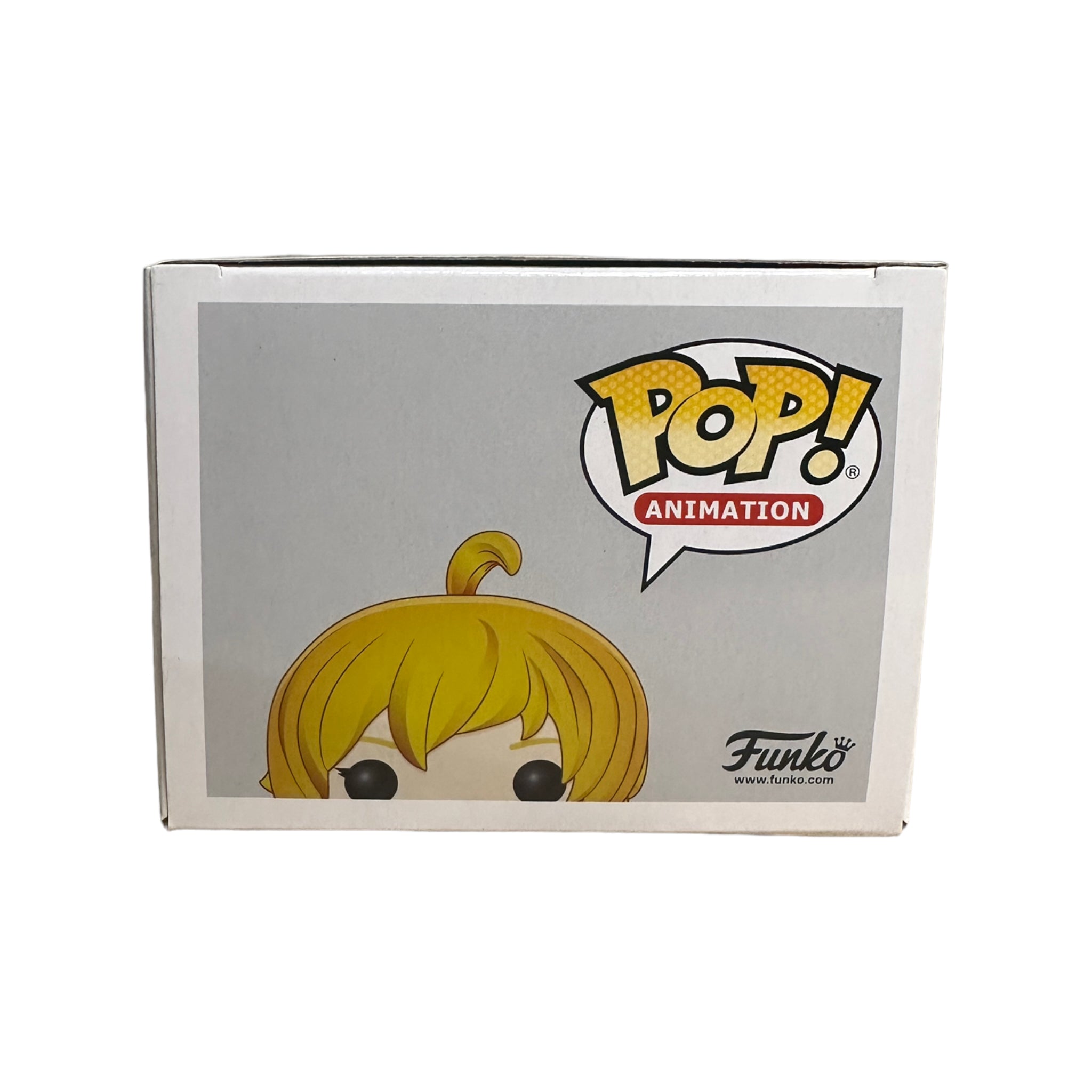 Yang Xiao Long #589 Funko Pop! - RWBY - 2019 Pop! - Condition 8.5/10